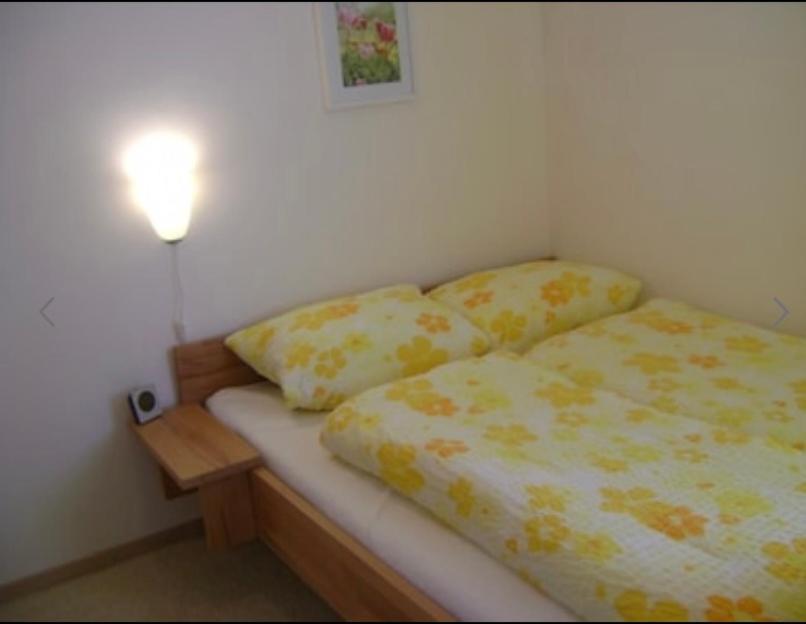 Komfort Ferienwohnung Wunder Γκόσλαρ Εξωτερικό φωτογραφία